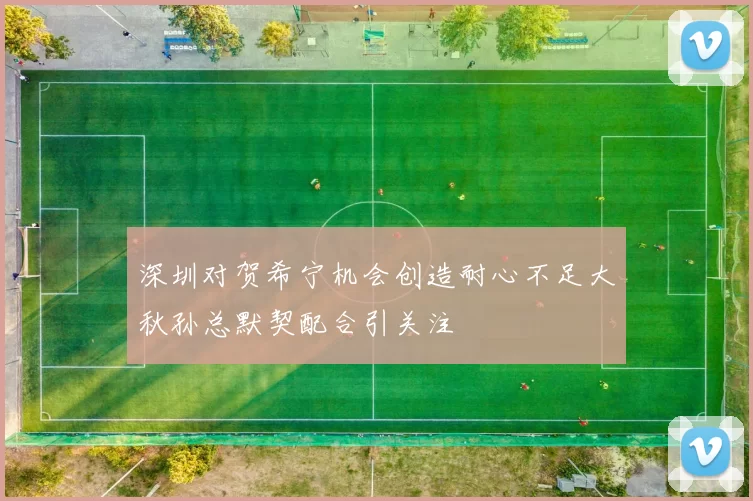 深圳对贺希宁机会创造耐心不足大秋孙总默契配合引关注